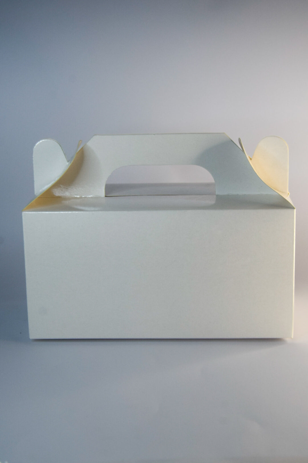 gift handle box 5