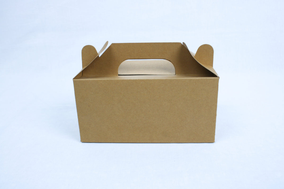 gift handle box 6