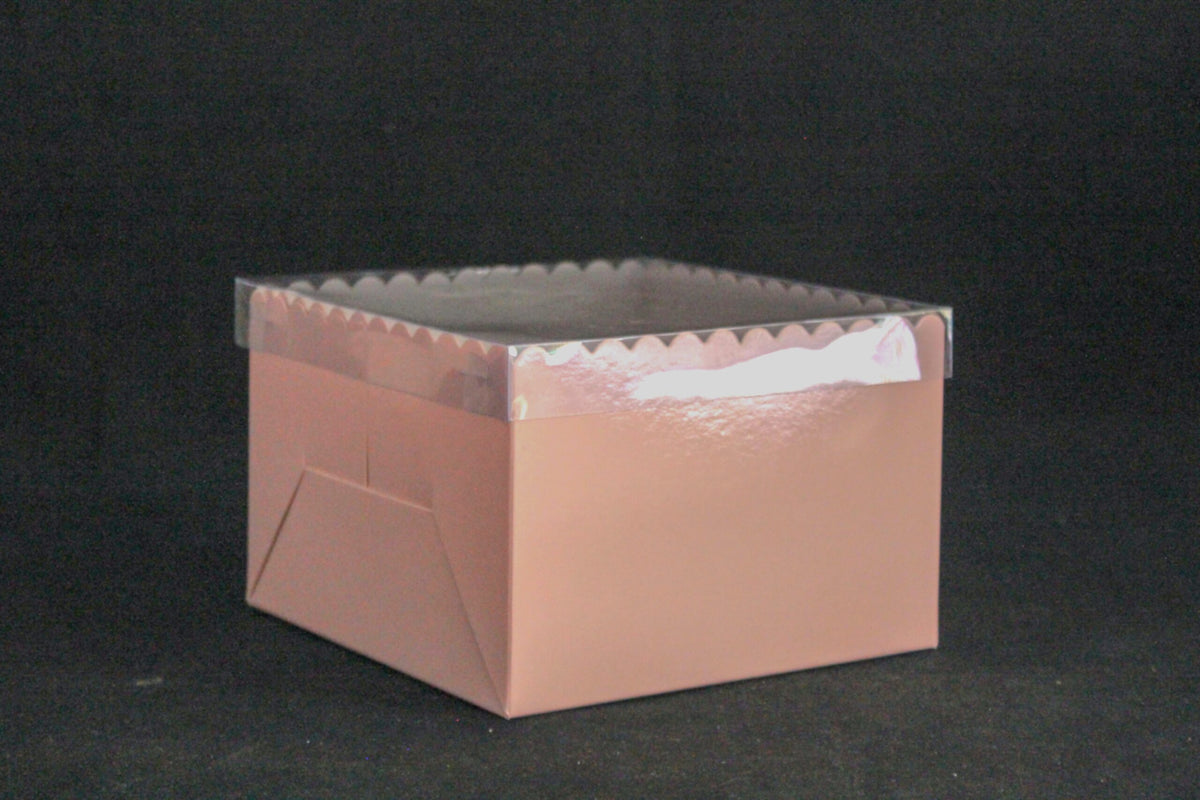 Transparent Cover Gift box for Bento Cakes (6"x6"x4") Inches 5