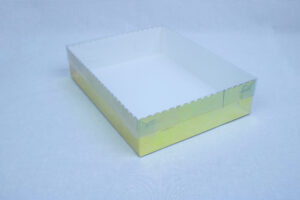 Transparent Box with Clear Top (12x9x3 inches)